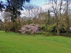 149 PARC ORIENTAL DE MAULEVIER MAINE ET LOIRE 2016 N0_000023